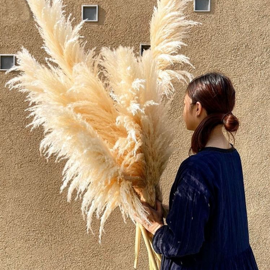 Pampas Otu Buketi (5'li Set)