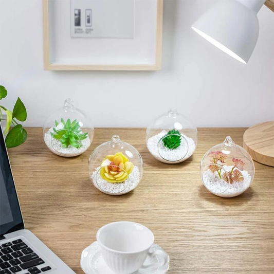 Yuvarlak Teraryum Saksısı