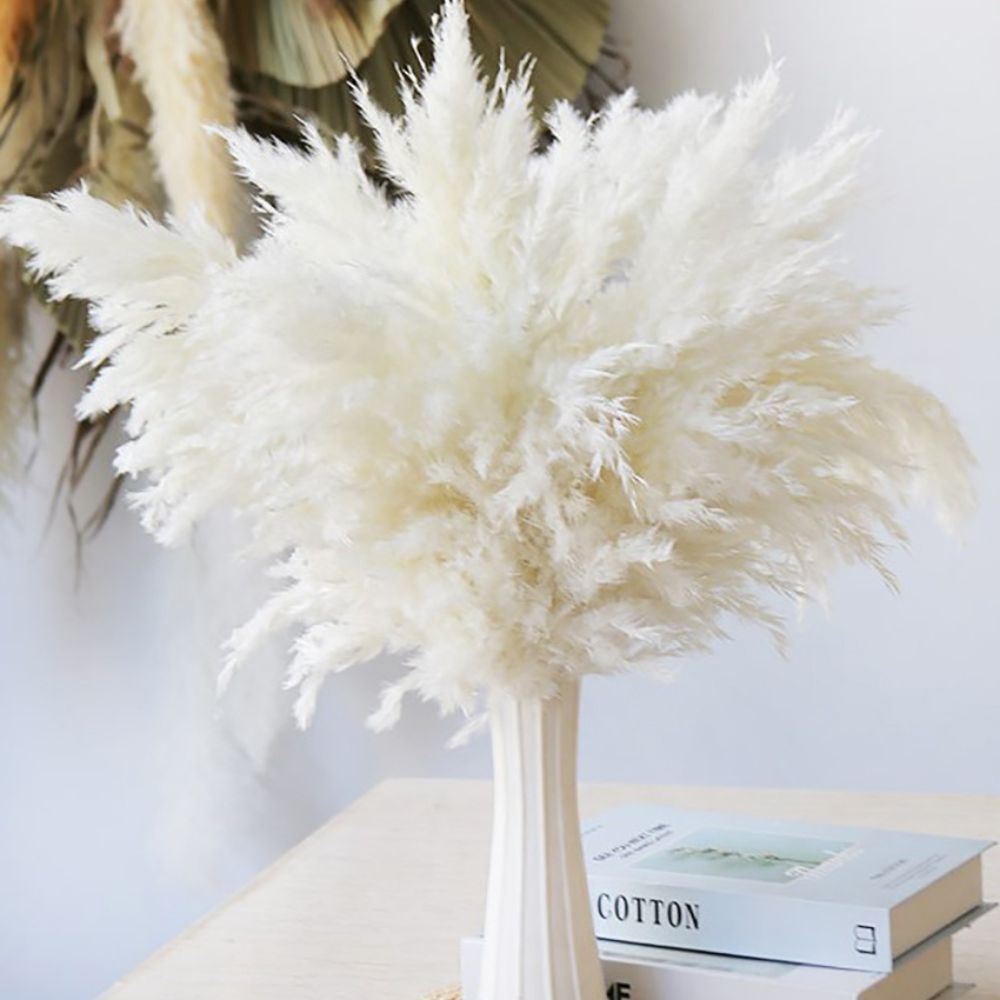 Pampas Otu Buketi (5'li Set)