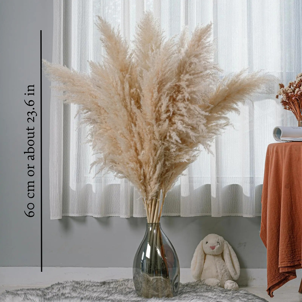 Pampas Otu Buketi (5'li Set)